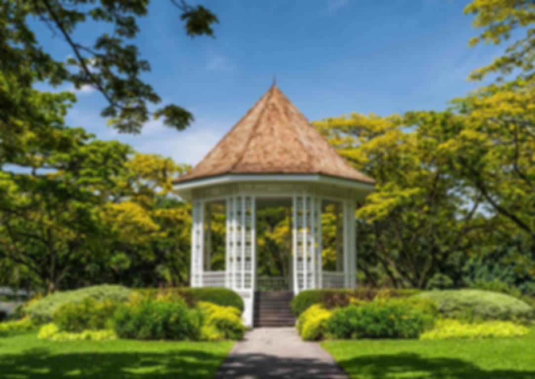 Singapore Botanic Gardens: Highlights, Tips & Tours