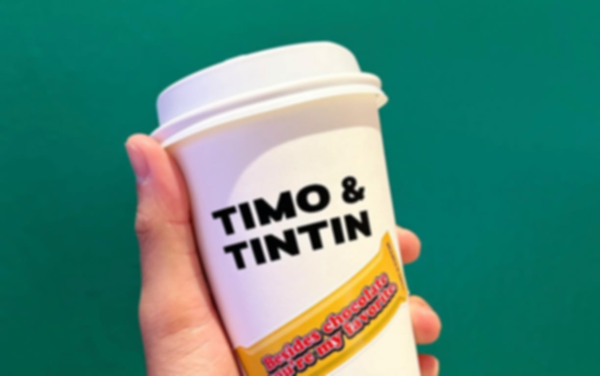Timo and Tintin